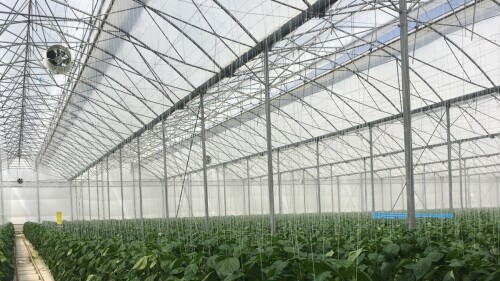 BIORETE AIR PLUS (1).jpg